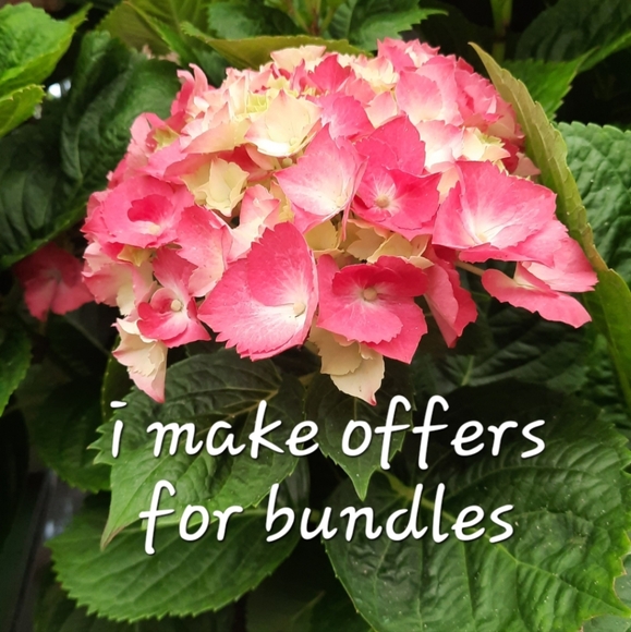 Accessories - Offers for bundles!